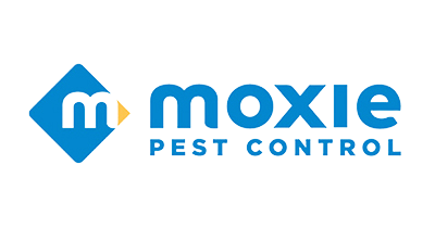 pest control chelmsford